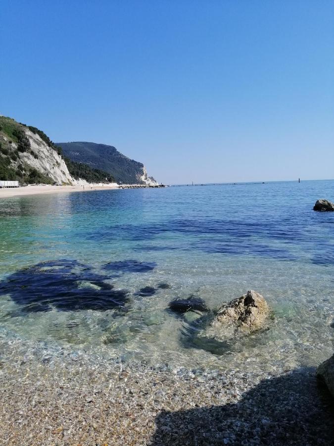 Nel Conero Guest house *