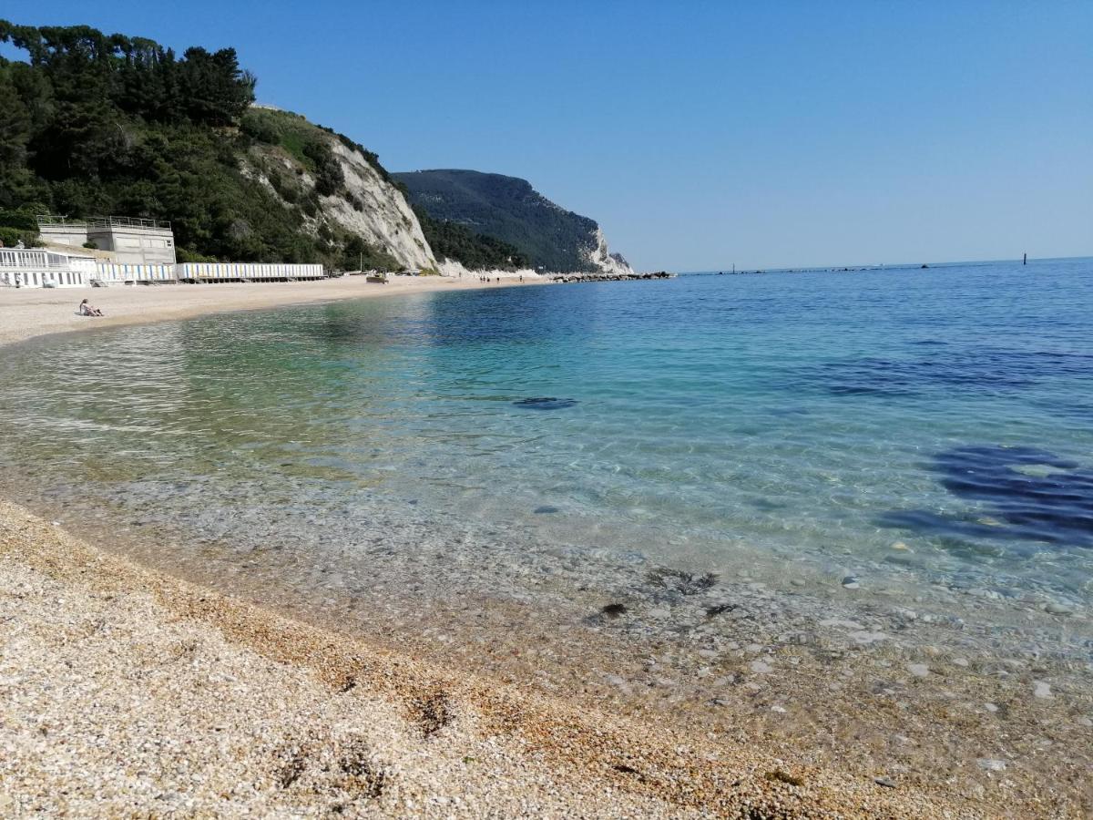 Guest house Nel Conero Numana