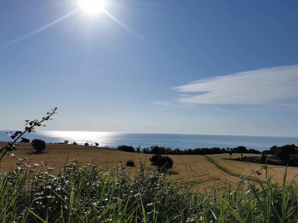 Nel Conero Guest house Numana